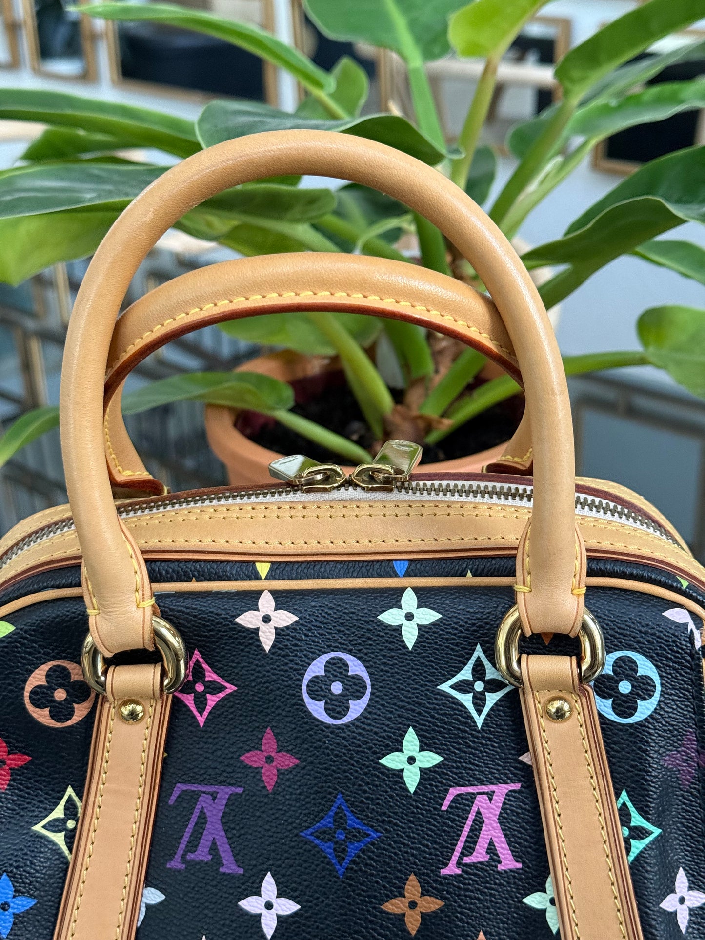 Multicolor Priscilla with Dustbag🌺📅 Year: 2008